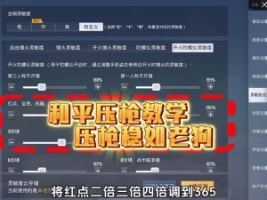 和平精英钢枪身法实战解析与教学分享：高效钢枪操作指南与技巧攻略