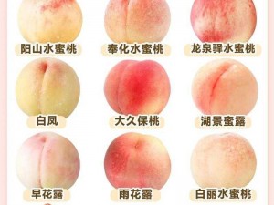 日本水蜜桃品种岭风—日本水蜜桃品种岭风，你了解多少？