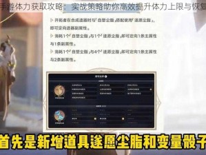 家庭教师手游体力获取攻略：实战策略助你高效提升体力上限与恢复速度指南