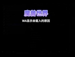 wa未载入 为什么 wa 未载入？