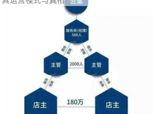 西游宅创是否涉及传销疑点解析：深度探讨其运营模式与真相