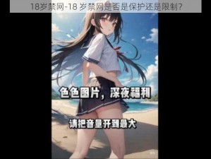 18岁禁网-18 岁禁网是否是保护还是限制？