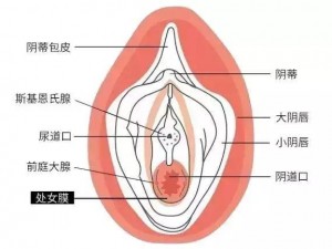 3岁女孩破膜整个过程;3 岁女孩被侵犯，破膜全过程令人痛心