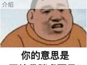 胖虎眼中的梗：解析与出处含义介绍