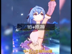 www 深夜原神 18 网站在限看，观看成人内容需年满 18 周岁