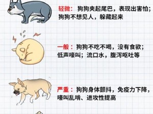 人狗胶配方大全狗狗——补充营养，增强免疫力