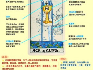 命运冠位指定FGO圣杯转临详解与从者喂养推荐指南——打造你的无敌战队