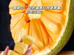 菠萝菠萝蜜视频高清播放在线、菠萝菠萝蜜视频高清播放在线，畅享无限制精彩内容