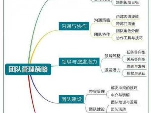 团队等级重塑：从实战角度解析团队建设的进阶之路