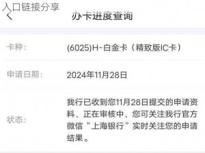 网易白金卡申请地址详解：全面了解申请流程与入口链接分享