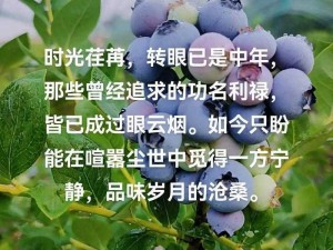 老孙头的春天一目尽是沧桑、老孙头的春天，一目尽是沧桑