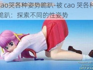 被cao哭各种姿势跪趴-被 cao 哭各种姿势跪趴：探索不同的性姿势