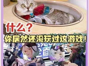 猫之城邀请攻略：探索高效邀请方法，轻松加入猫之城的奇妙世界