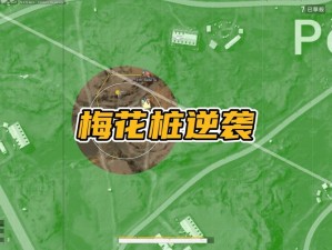 绝地求生大逃杀梅花桩拼药术揭秘：实战技巧与经验分享