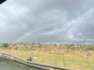 在出差途中遭遇暴风雨，与属下共同面对困境