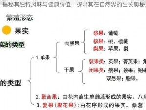 熟糜果实：揭秘其独特风味与健康价值，探寻其在自然界的生长奥秘及人类应用前景