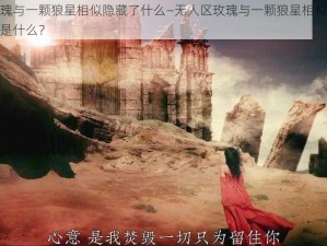 无人区玫瑰与一颗狼星相似隐藏了什么—无人区玫瑰与一颗狼星相似，它们隐藏的秘密是什么？