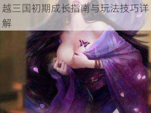 三国志13新手攻略：自建人物穿越三国初期成长指南与玩法技巧详解