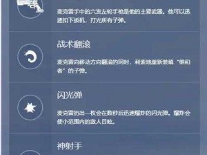 守望先锋麦克雷技能运用指南：深度解析射击心得与实战技巧分享