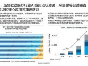 中国 spinking 实践视频 2：深入了解 spinking 技术在中国的应用与发展