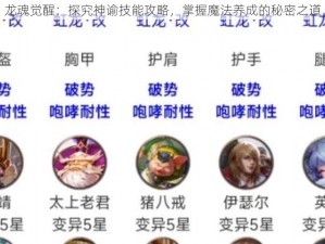 龙魂觉醒：探究神谕技能攻略，掌握魔法养成的秘密之道