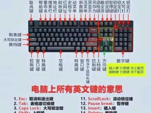 柯娜精神之桥键盘按键指南：全面解析操作技巧与功能一览