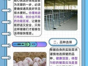 养猪流打法破解策略：洞悉弱点，精准出击，实现战术反转