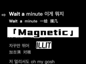 粉嫩magnet;如何用粉嫩 magnet这个词来提问？