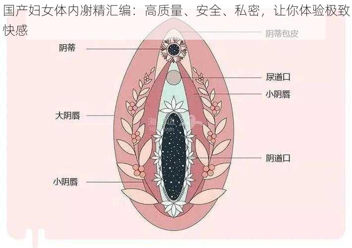 国产妇女体内㓔精汇编：高质量、安全、私密，让你体验极致快感