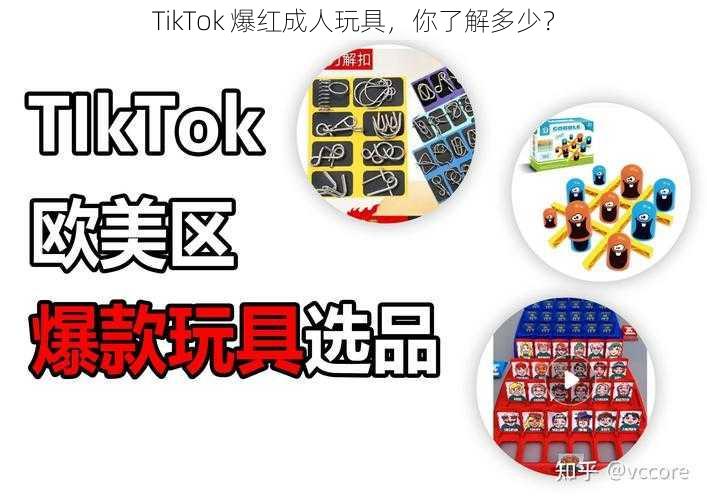 TikTok 爆红成人玩具，你了解多少？