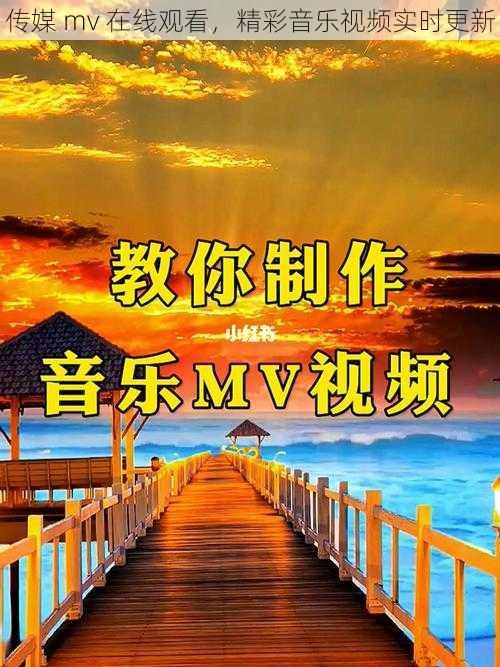 传媒 mv 在线观看，精彩音乐视频实时更新