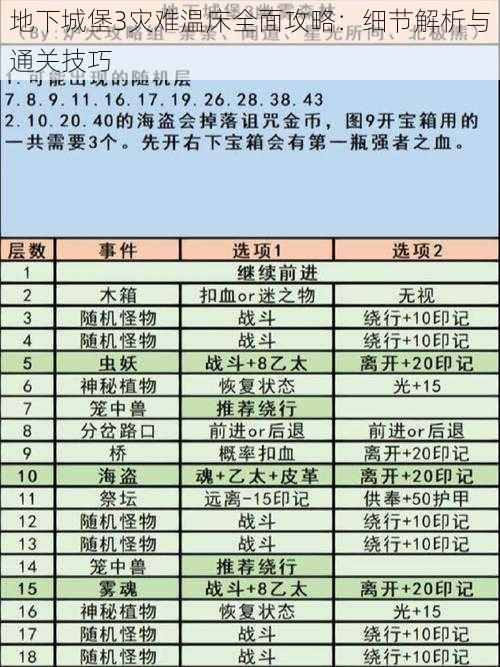 地下城堡3灾难温床全面攻略：细节解析与通关技巧