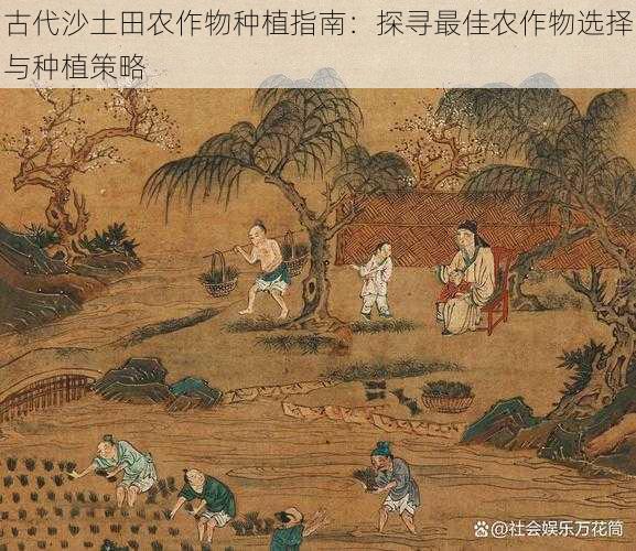 古代沙土田农作物种植指南：探寻最佳农作物选择与种植策略