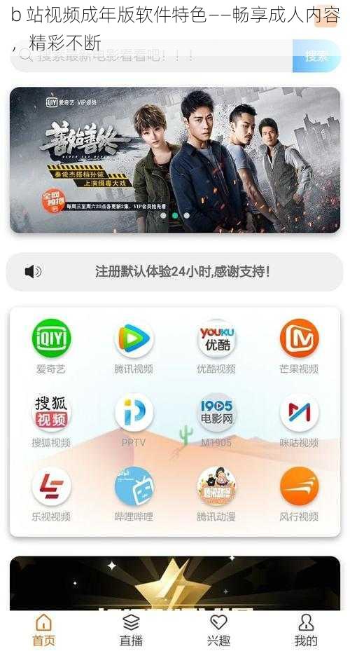 b 站视频成年版软件特色——畅享成人内容，精彩不断