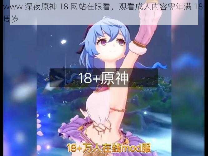 www 深夜原神 18 网站在限看，观看成人内容需年满 18 周岁