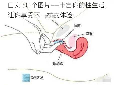 囗交 50 个图片——丰富你的性生活，让你享受不一样的体验