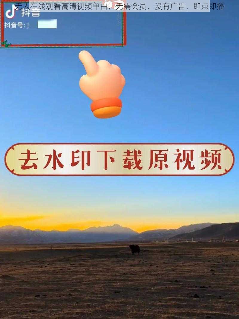 无人在线观看高清视频单曲，无需会员，没有广告，即点即播