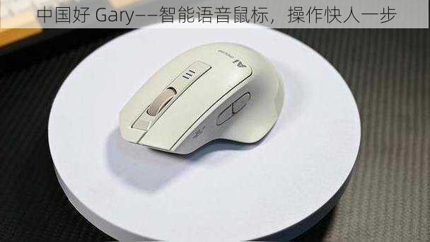 中国好 Gary——智能语音鼠标，操作快人一步