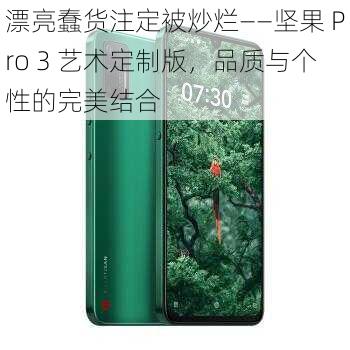 漂亮蠢货注定被炒烂——坚果 Pro 3 艺术定制版，品质与个性的完美结合