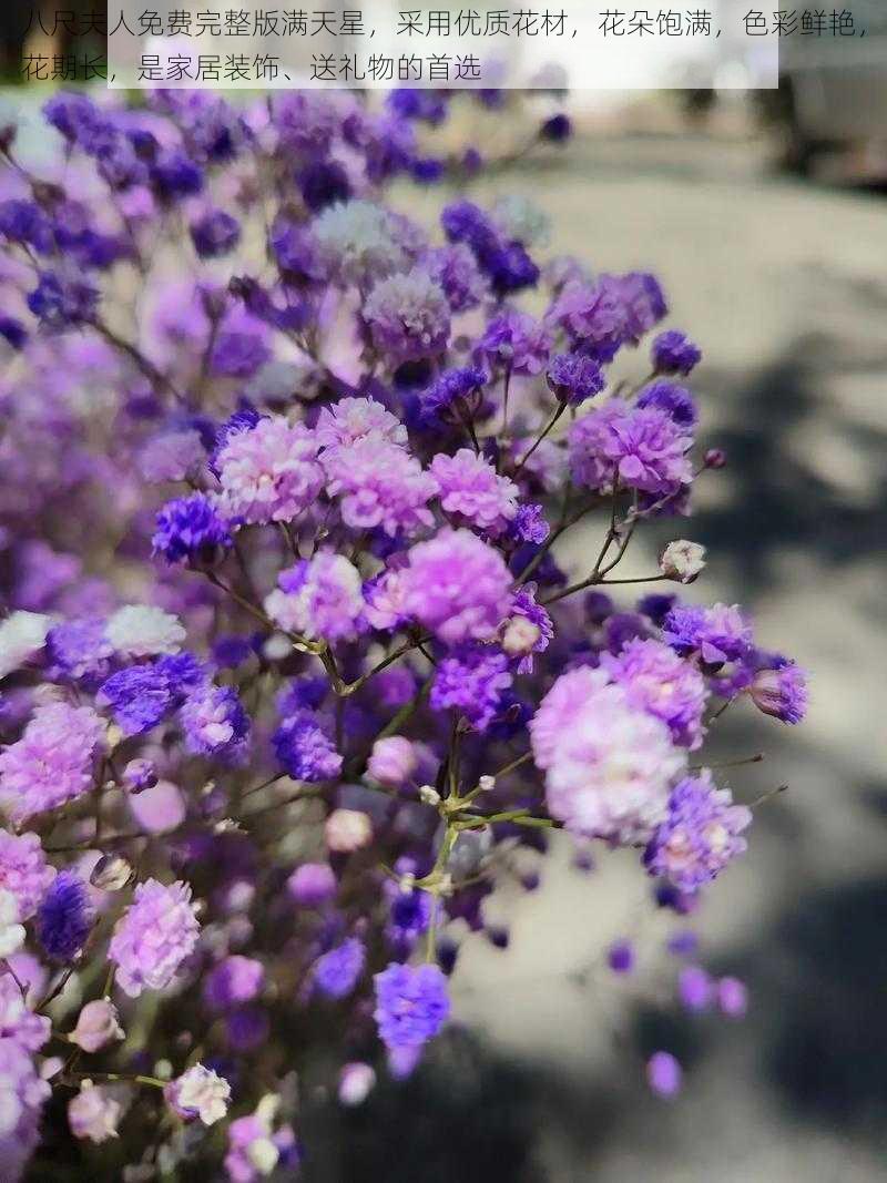 八尺夫人免费完整版满天星，采用优质花材，花朵饱满，色彩鲜艳，花期长，是家居装饰、送礼物的首选