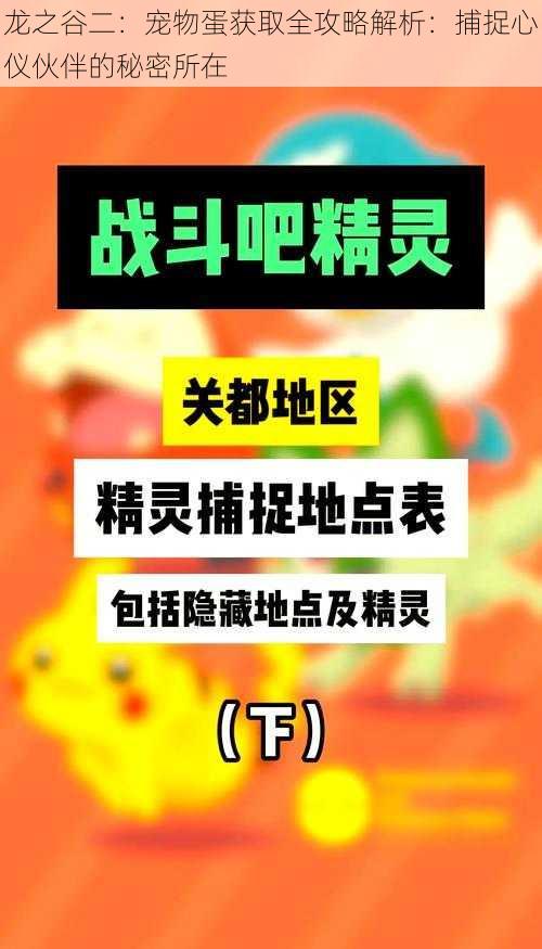 龙之谷二：宠物蛋获取全攻略解析：捕捉心仪伙伴的秘密所在