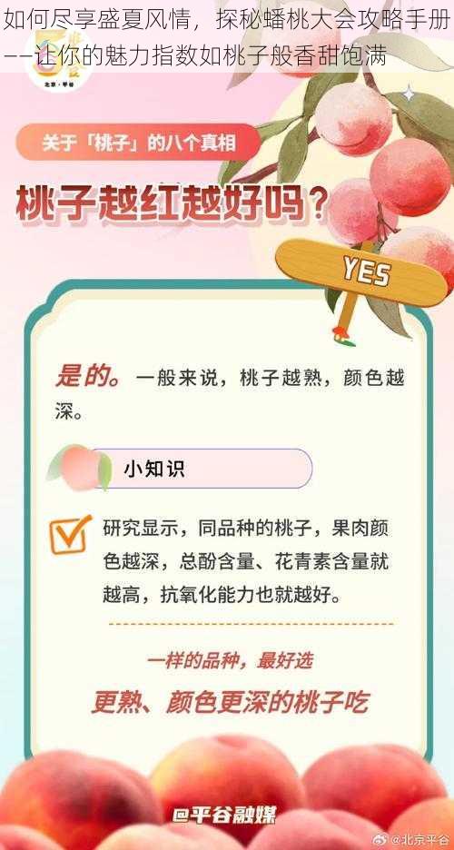 如何尽享盛夏风情，探秘蟠桃大会攻略手册——让你的魅力指数如桃子般香甜饱满