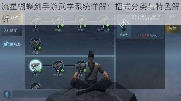 流星蝴蝶剑手游武学系统详解：招式分类与特色解析