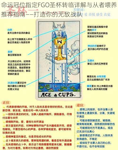 命运冠位指定FGO圣杯转临详解与从者喂养推荐指南——打造你的无敌战队