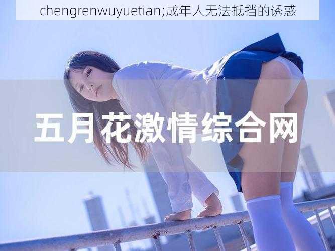 chengrenwuyuetian;成年人无法抵挡的诱惑