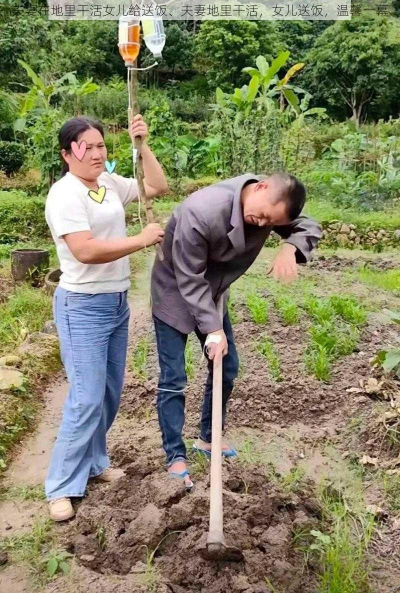 夫妻在地里干活女儿给送饭、夫妻地里干活，女儿送饭，温馨一幕