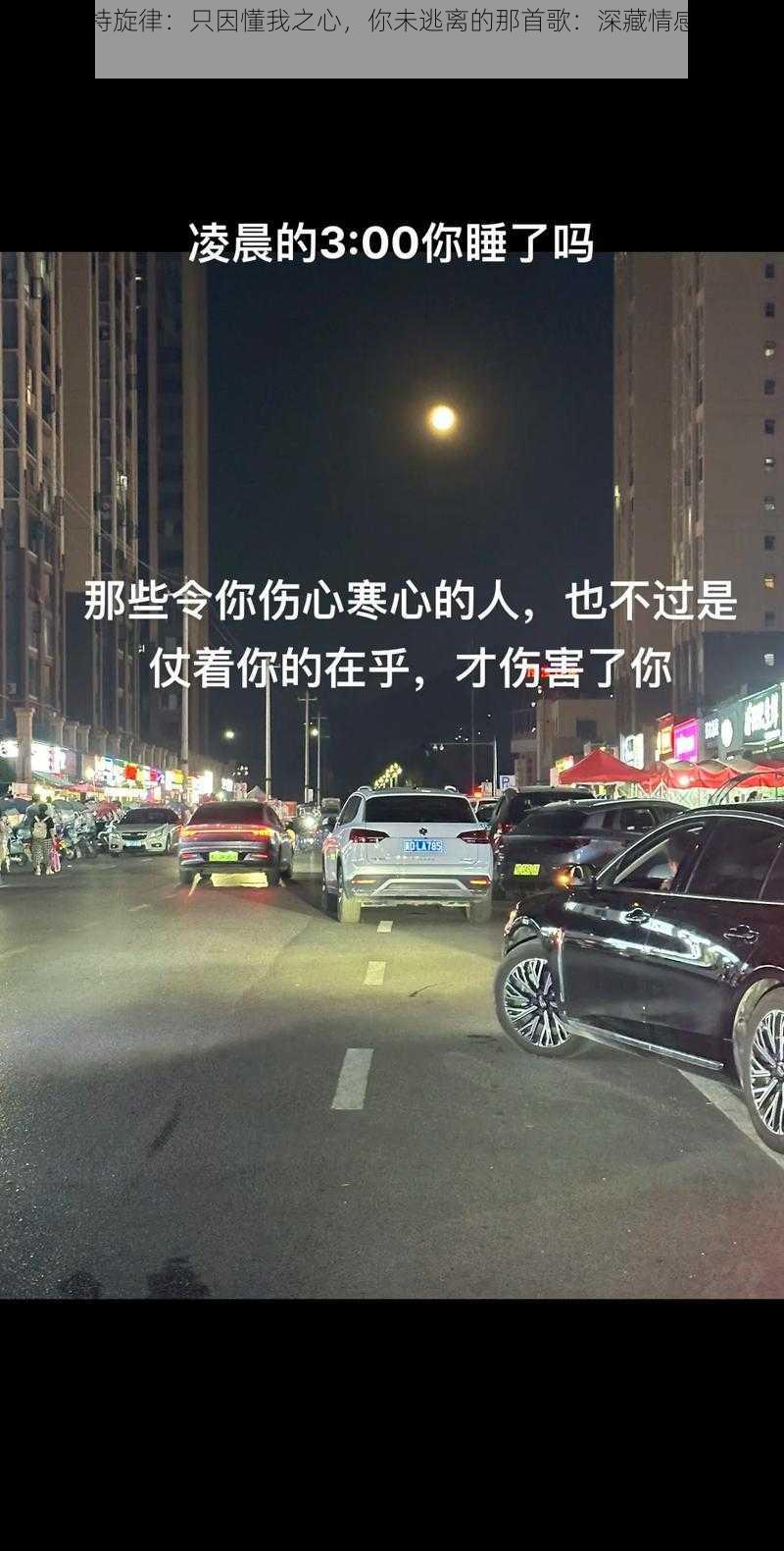 抖音独特旋律：只因懂我之心，你未逃离的那首歌：深藏情感的旋律之谜