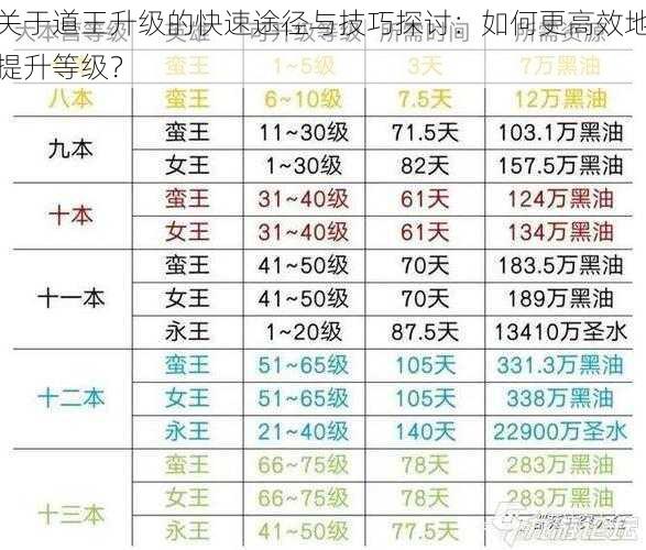 关于道王升级的快速途径与技巧探讨：如何更高效地提升等级？