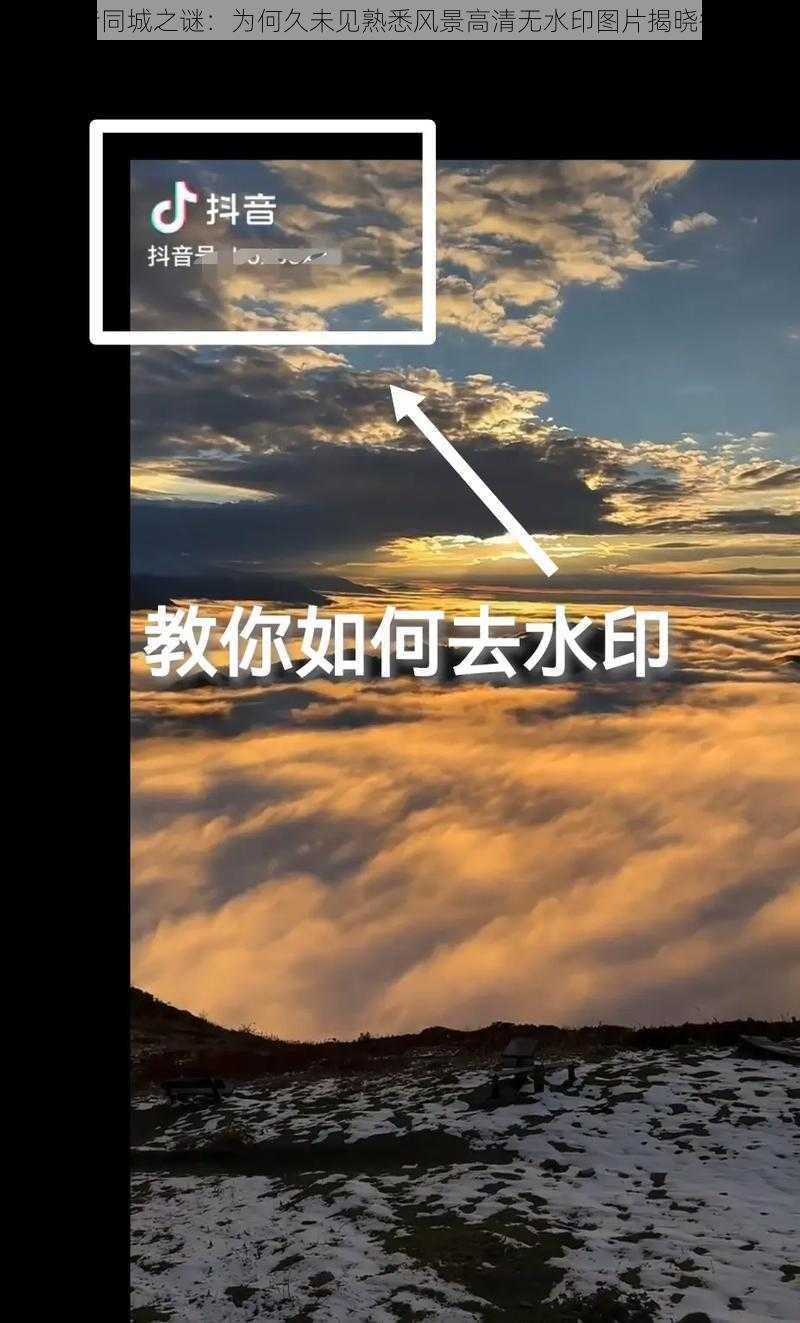 抖音同城之谜：为何久未见熟悉风景高清无水印图片揭晓答案