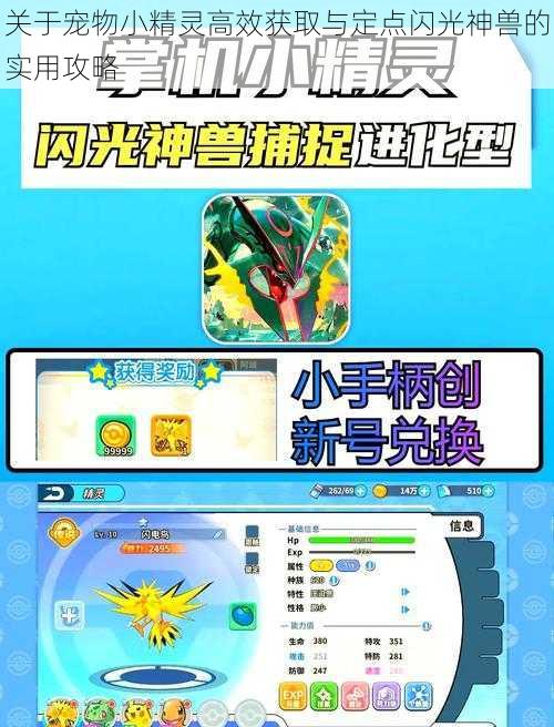 关于宠物小精灵高效获取与定点闪光神兽的实用攻略